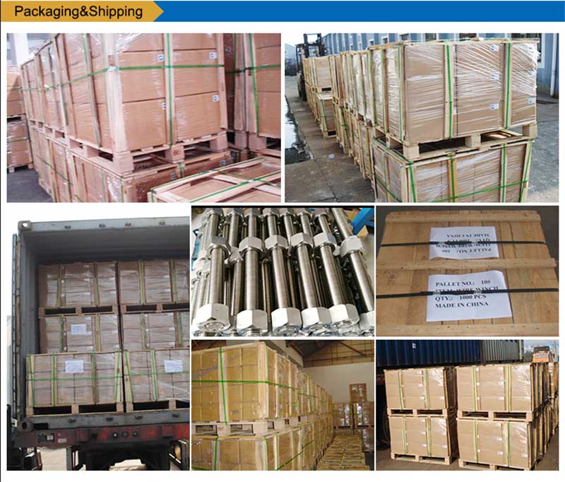 સ્ટેઈનલેસ-સ્ટીલ-સૂચિ-બોલ્ટ્સ-સ્ક્રુ-ફાસ્ટનર-પેકિંગ